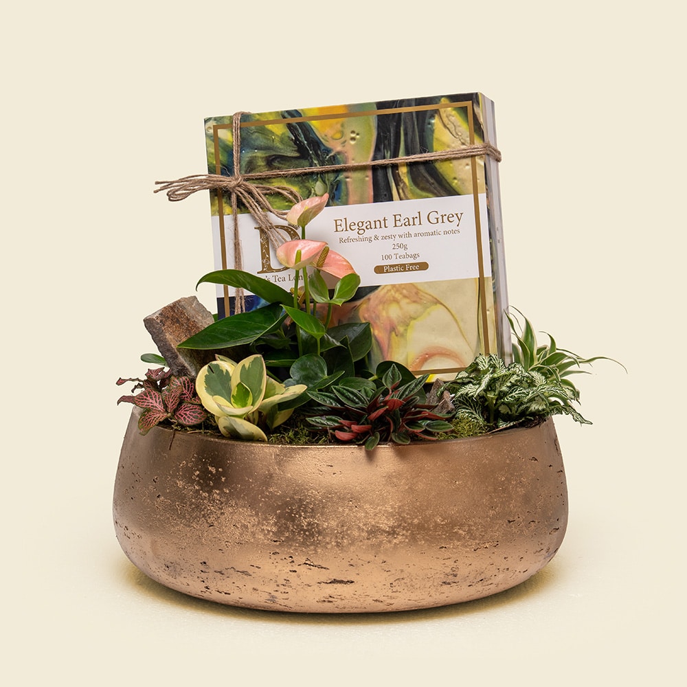 Earl Grey Botanical Garden – Mixed Plants with Darcey’s Elegant Earl Grey Tea