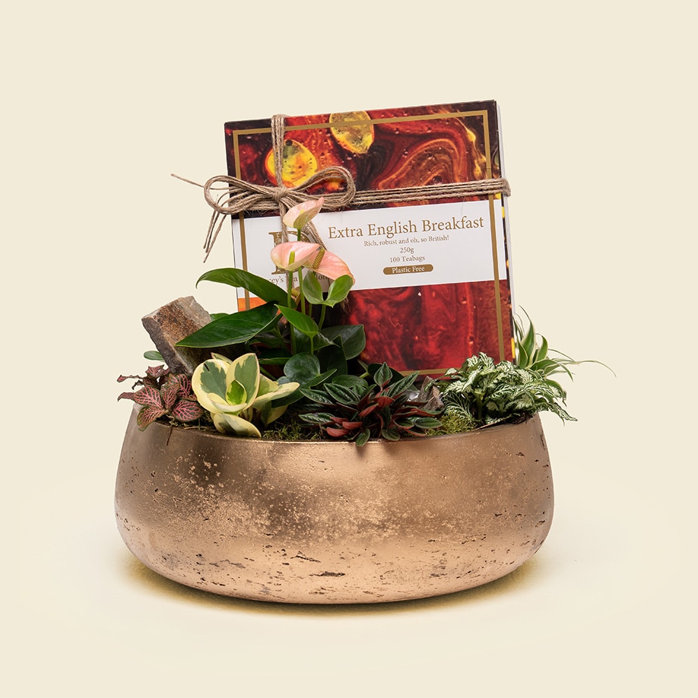 English Breakfast Botanical Garden – Mixed Plants with Darcey’s Premium Black Tea