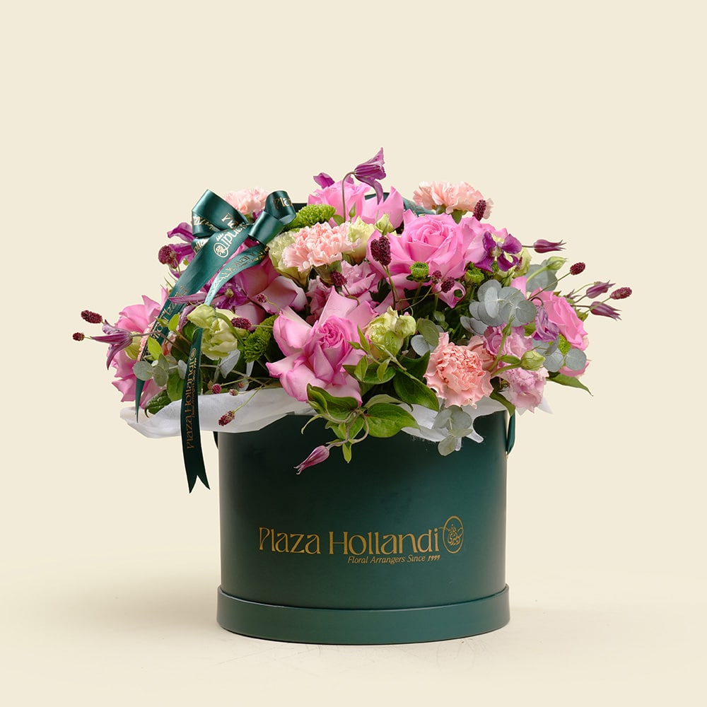Blush Elegance – Pink Roses Plaza Hollandi Box