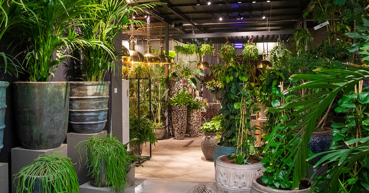 Plaza Hollandi Garden Center